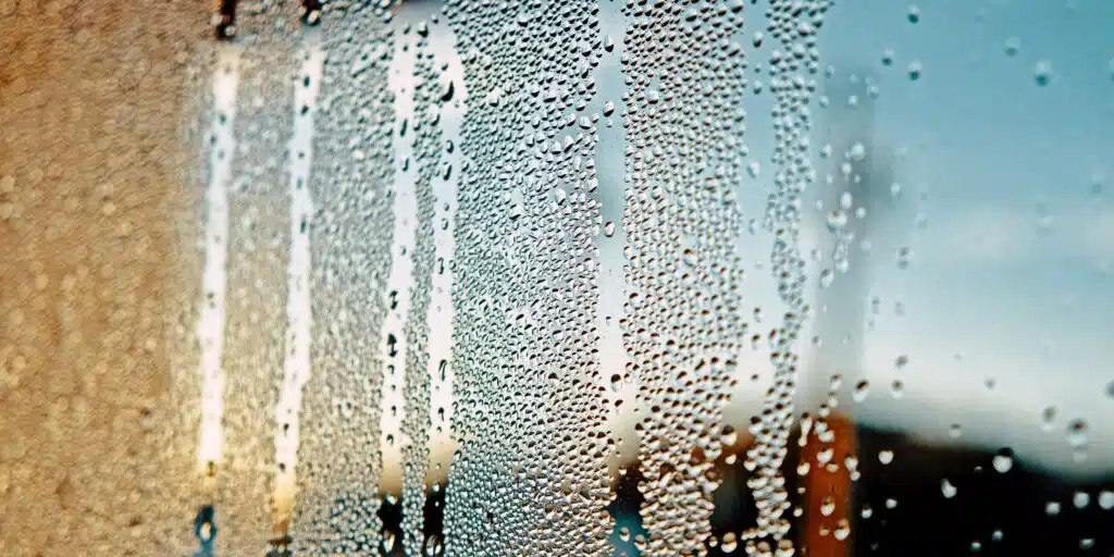 condensation on window