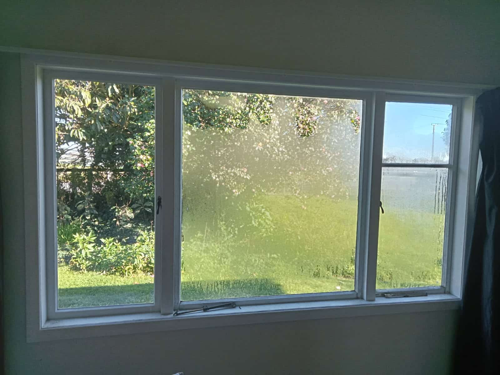 condensation on window waikato