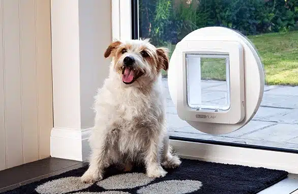 dog door in glass